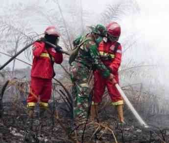 Legal Dialectics in National Forest Fire Governance