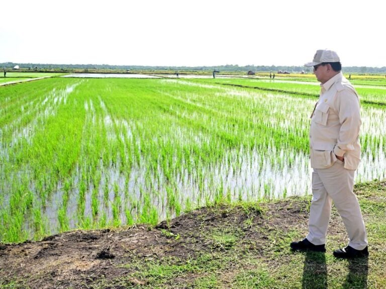 Capaian Dua Tahun Pemerintahan Prabowo-Gibran, Pertumbuhan Ekonomi Solid dan Swasembada Pangan Nasional