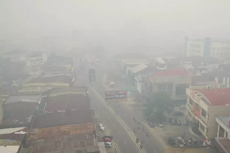 Kabut Asap Lintas Batas, Malaysia Diminta Tak Hanya Menekan Indonesia, Data Konsesi Sawit Perlu Dibuka