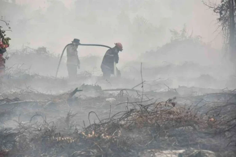 Haze: Do Not Stop at Apologies
