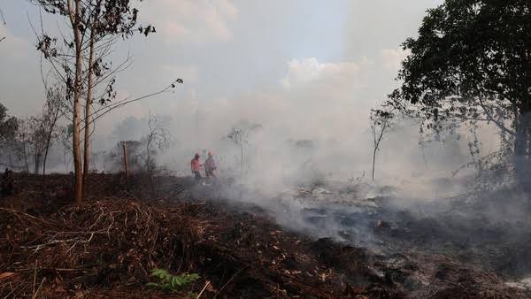 PENANGANAN KARHUTLA TERUS DILAKUKAN, JUMLAH TITIK PANAS SEMAKIN MENURUN