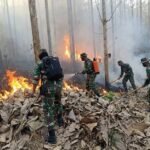 Pemerintah Intensifkan Penanganan Karhutla, Perlindungan Masyarakat Terus Diperkuat