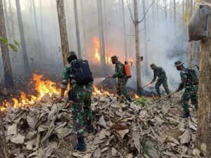 Pemerintah Intensifkan Penanganan Karhutla, Perlindungan Masyarakat Terus Diperkuat