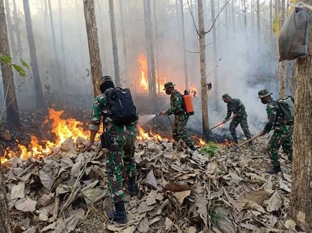 Pemerintah Intensifkan Penanganan Karhutla, Perlindungan Masyarakat Terus Diperkuat